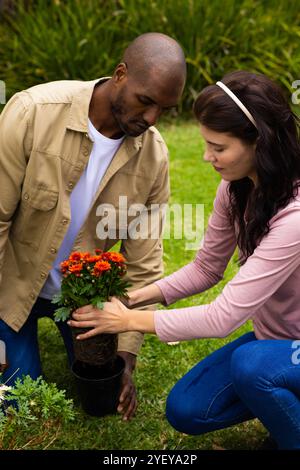 Multirassisches Paar pflanzt Blumen zusammen im Garten und genießt Outdoor-Aktivitäten Stockfoto