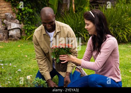 Ein multirassisches Paar, das zusammen im Garten arbeitet, Blumen pflanzt und die Zeit im Garten genießt Stockfoto