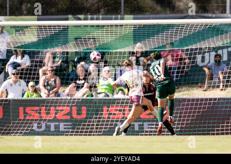 Canberra, Australien; 2. November 2024: Mary Stanic-Floody von Canberra United FC schießt beim Spiel der Ninja A-League Women Round 1 2024/25 zwischen Canberra United FC und Brisbane Roar FC im McKellar Park in Canberra, Australien am 2. November 2024 um ein Tor. (Foto: Nick Strange/Fotonic/Alamy Live News) Stockfoto