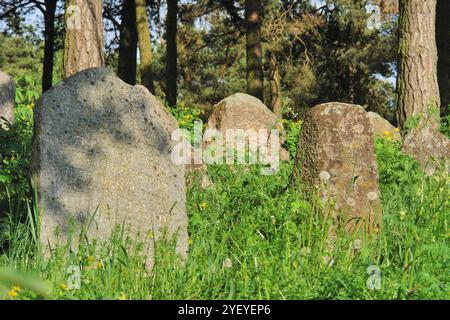 Verlassener jüdischer Friedhof in der belarussischen Stadt Rakov, Weißrussland Stockfoto