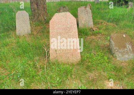 Verlassener jüdischer Friedhof in der belarussischen Stadt Rakov, Weißrussland Stockfoto