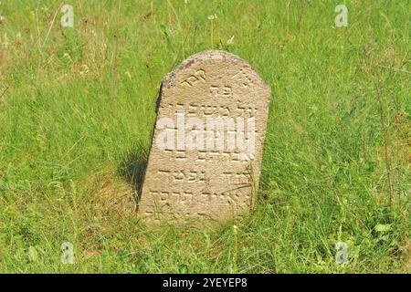 Verlassener jüdischer Friedhof in der belarussischen Stadt Rakov, Weißrussland Stockfoto