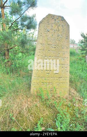 Verlassener jüdischer Friedhof in der belarussischen Stadt Rakov, Weißrussland Stockfoto