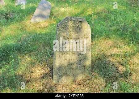 Verlassener jüdischer Friedhof in der belarussischen Stadt Rakov, Weißrussland Stockfoto