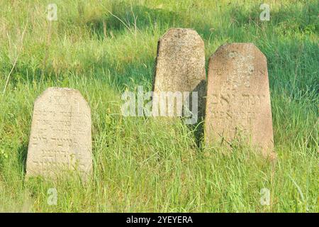 Verlassener jüdischer Friedhof in der belarussischen Stadt Rakov, Weißrussland Stockfoto