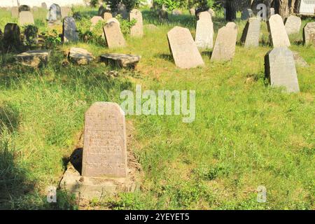 Verlassener jüdischer Friedhof in der belarussischen Stadt Rakov, Weißrussland Stockfoto