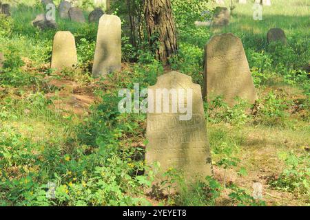 Verlassener jüdischer Friedhof in der belarussischen Stadt Rakov, Weißrussland Stockfoto