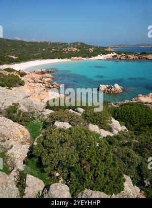 Budelli Island - Pink Beach - Archipel La Maddalena - Nordsardinien Stockfoto