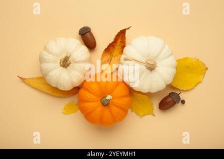 Festliche Herbstdekoration aus Kürbissen und Blättern auf beigefarbenem Hintergrund. Draufsicht Stockfoto