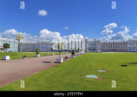 Katharinenpalast ist ein Rokoko-Palast in der Stadt Zarskoje Selo (Puschkin), 30 km südlich von St. Petersburg, Russland, Europa Stockfoto