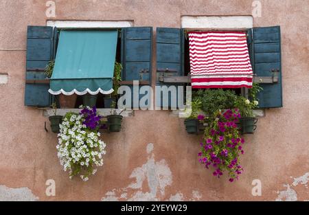Zwei rustikale Fenster mit bunten Blumen und Jalousien an einer verputzten Wand im mediterranen Stil, Venedig, Italien, Europa Stockfoto