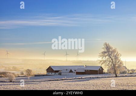 Bauernhof in einem Feld mit Schnee und Frost und niedrigem kalten Nebel in einem Tal und Windturbinen am Horizont in der winterlichen Landschaft, Schweden, Europa Stockfoto