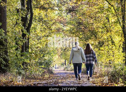 Ein Spaziergang durch einen farbenfrohen Herbstwald. Zwei junge Frau auf einem Rundweg am Neckarufer in Stuttgart, Baden-Württemberg, Deutschland, EUR Stockfoto