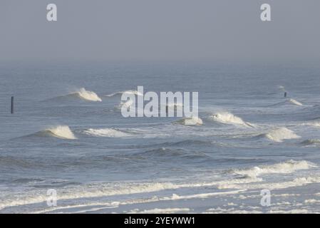 Ausgehende Wellen am Nordstrand, Grenzpfähle, Seenebel über der Nordsee, Norderney, Ostfriesische Inseln, Niedersachsen, Deutschland, Europa Stockfoto