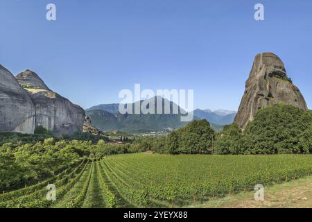 Blick auf den Weinberg und die Berge in Meteora, Griechenland, Europa Stockfoto