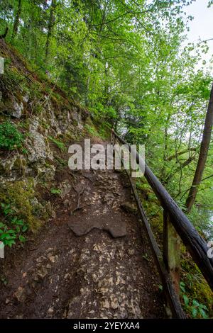 Wanderweg und Felsen am Klosterfelsenweg in der Nähe des Fürstenparks Inzigkofen, Naturpark obere Donau, Baden-Württemberg. Stockfoto