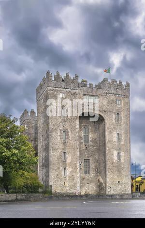 Bunratty Castle ist ein großes Turmhaus aus dem 15. Jahrhundert in County Clare, Irland, Europa Stockfoto