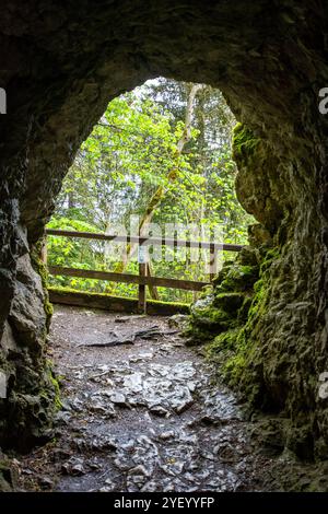 Blick auf die Teufelsbrücke bei Inzigkofen, Deutschland. Die Donau schwimmt im Tal auf der rechten Seite. Stockfoto