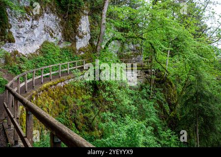 Wanderweg und Felsen am Klosterfelsenweg in der Nähe des Fürstenparks Inzigkofen, Naturpark obere Donau, Baden-Württemberg. Stockfoto