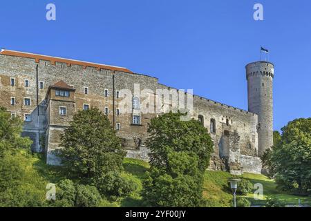 Toompea Castle ist eine Burg auf dem Hügel Toompea im Zentrum von Tallinn, Estland, Europa Stockfoto