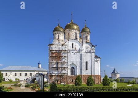 Das Luschhetski-Kloster ist ein mittelalterliches Festungskloster in Moschhaysk, Moskau, Russland. Geburt der Jungfrau Maria Kathedrale Stockfoto