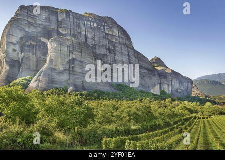 Blick auf den Weinberg und die Berge in Meteora, Griechenland, Europa Stockfoto