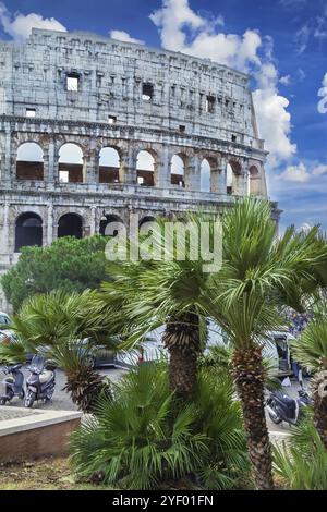 Das Kolosseum oder Kolosseum, auch bekannt als Flavisches Amphitheater, ist ein elliptisches Amphitheater im Zentrum von Rom, Italien, Europa Stockfoto