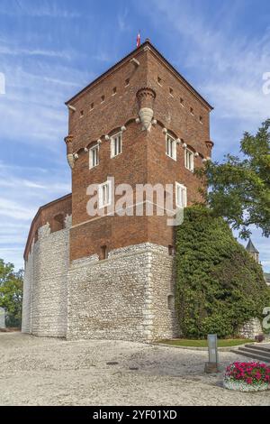 Der Diebe-Turm wurde im 14. Jahrhundert in der Burg Wawel in Krakau, Polen, Europa errichtet Stockfoto