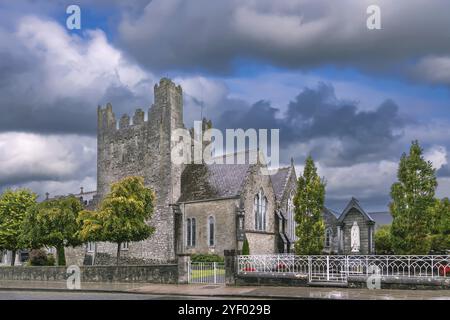 Holy Trinity Abbey Church in Adare, County Limerick, Irland, Europa Stockfoto