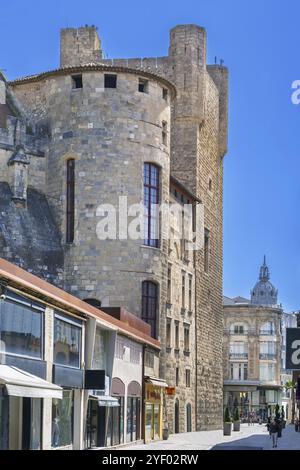 Straße im Stadtzentrum von Narbonne, Frankreich, Europa Stockfoto