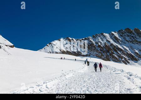 Blick auf den schneebedeckten Trugberg entlang des Wanderweges vom Jungfraugipfel zur Mönchsjochhütte, Schweizer Alpen, Schweiz Stockfoto