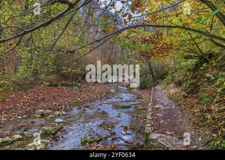 Rufabgo Stream im Wald im Herbst, Adugea, Russland, Europa Stockfoto