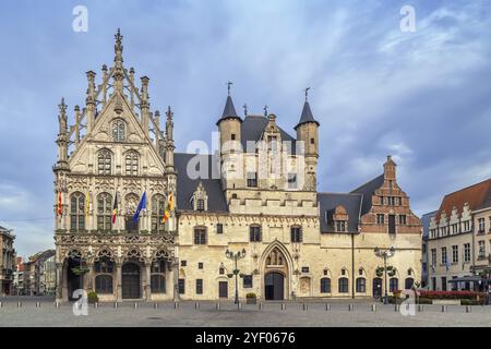 Das Mechelen Rathaus befindet sich am Großen Markt (Grote Markt), Belgien, Europa Stockfoto