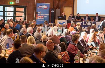 Henstedt Ulzburg, Deutschland. November 2024. Blick in den Saal bei der AfD Schleswig-Holstein Landesparteikonferenz im Bürgerhaus. Quelle: Georg Wendt/dpa/Alamy Live News Stockfoto