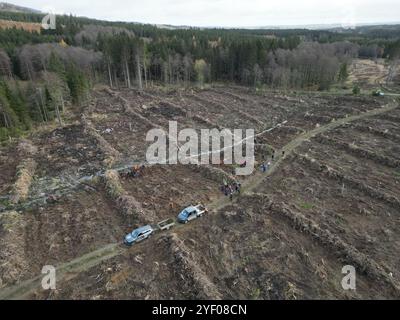 Elend, Deutschland. November 2024. Freiwillige stehen auf einem Waldgebiet im Oberharz (mit Drohne fotografiert). Seit 2023 organisiert Gastronomie Rader Baumpflanzungen, um einen Beitrag zum Waldschutz im Harz zu leisten. Für die Aufforstung nutzt er fünf Euro aus jeder Nacht in seinen Hotels, um Laubbäume für den Harzer Zukunftswald bei den von ihm organisierten Pflanzenveranstaltungen zu Pflanzen. Quelle: Matthias Bein/dpa/Alamy Live News Stockfoto