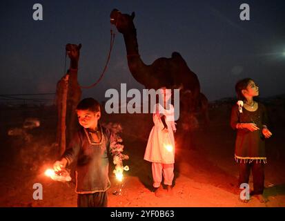 Ajmer, Indien. November 2024. Kamelhirten zünden Feuerwerkskörper an, während sie das Diwali-Festival in Puschkar feiern. Diwali, auch bekannt als Festival der Lichter, ist eines der am weitesten gefeierten Hindufeste, das den Sieg des Lichts über die Dunkelheit und des Guten über das Böse symbolisiert. (Foto: Shaukat Ahmed/Pacific Press) Credit: Pacific Press Media Production Corp./Alamy Live News Stockfoto