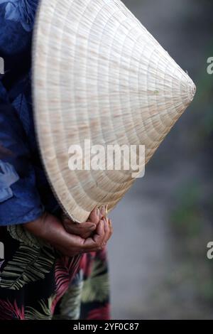 Agricuture. Bio-Gemüsegärten im Dorf Tra Que. Frau mit dem traditionellen vietnamesischen konischen Hut. Hoi An. Vietnam. Stockfoto