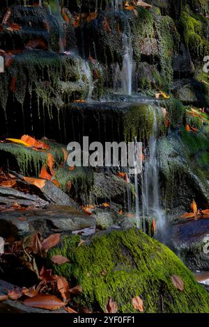 Nahaufnahme von Wasser, das über moosbedeckte Felsen tropft Stockfoto