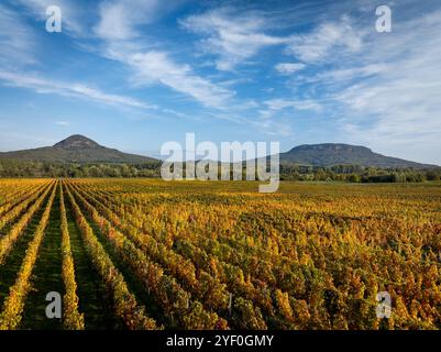 Weinberge im Herbst im Balaton-Hochland. Der berühmte Tanuhegyek im Hintergrund Stockfoto