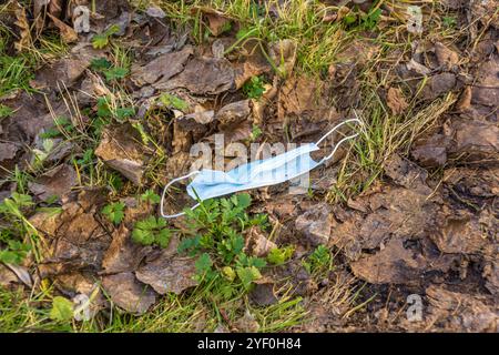 Einweg-Mundmasken-Verschmutzung im Naturwald Stockfoto