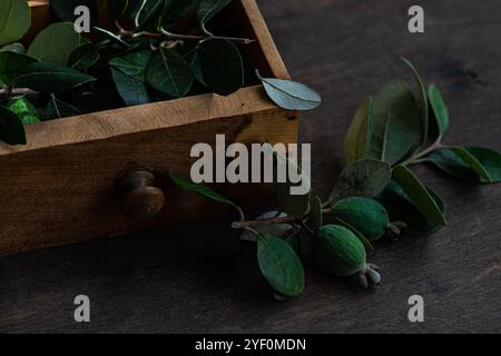 Oben eine Holzkiste gefüllt mit frisch geschnittenen Feijoa-Zweigen und Früchten Stockfoto
