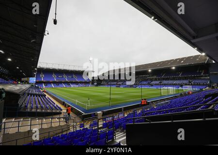 Ipswich, Großbritannien. November 2024. Allgemeine Ansicht des Spielfelds während des Spiels Ipswich Town FC gegen Leicester City FC English Premier League in Portman Road, Ipswich, England, Großbritannien am 2. November 2024 Credit: Every Second Media/Alamy Live News Stockfoto