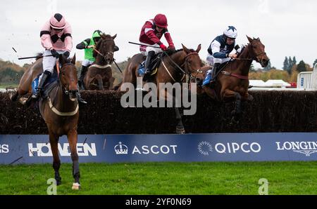 Ascot, Großbritannien, Samstag, den 2. November 2024; Martator und Jockey Charlie Deutsch gewinnen die Byrne Group Handicap Steeple Chase (Premier Handicap) für Trainer Venetia Williams und Eigentümerin Camilla Norton. Credit JTW equine Images / Alamy Live News. Stockfoto