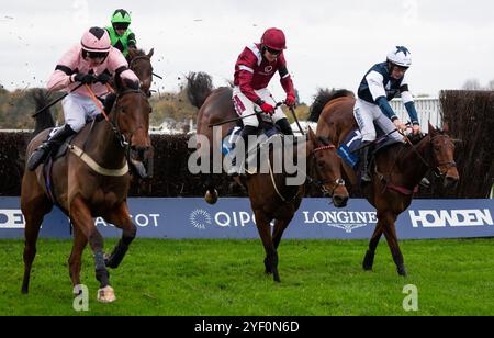 Ascot, Großbritannien, Samstag, den 2. November 2024; Martator und Jockey Charlie Deutsch gewinnen die Byrne Group Handicap Steeple Chase (Premier Handicap) für Trainer Venetia Williams und Eigentümerin Camilla Norton. Credit JTW equine Images / Alamy Live News. Stockfoto