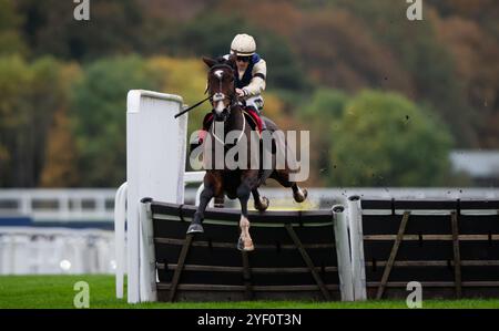 Ascot, Großbritannien, Samstag, 2. November 2024; Clap of Thunder und Jockey Sam Twiston-Davies gewinnen die Hürde der GL-Events für Trainer Nigel Twiston-Davies und Besitzer Dash Grange Stud Credit JTW equine Images / Alamy Live News. Stockfoto