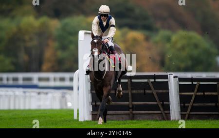 Ascot, Großbritannien, Samstag, 2. November 2024; Clap of Thunder und Jockey Sam Twiston-Davies gewinnen die Hürde der GL-Events für Trainer Nigel Twiston-Davies und Besitzer Dash Grange Stud Credit JTW equine Images / Alamy Live News. Stockfoto