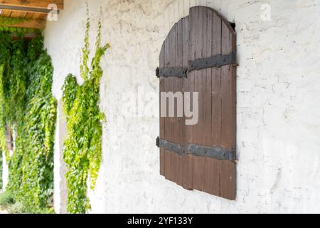 Rustikale Holzläden an einer weißen Wand mit grünem Efeu Stockfoto