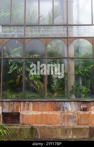 Die Fenster eines Gewächshauses in Glasgow, Schottland Stockfoto