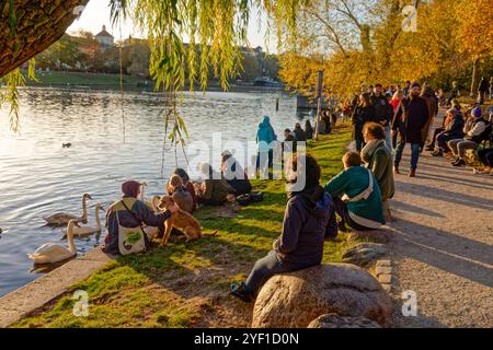 Urbanhafen in Berlin-Kreuzberg, Herbststimmung, Altweibersommer, Berlin Herbststimmung am Urbanhafen in Berlin-Kreuzberg, Deutschland *** Urbanhafen in Berlin Kreuzberg, Herbststimmung, indischer Sommer, Berlin Herbststimmung am Urbanhafen in Berlin Kreuzberg, Deutschland Stockfoto