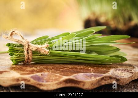 Frische junge grüne Gerstengrasklingen auf einem Holztisch, Nahaufnahme Stockfoto